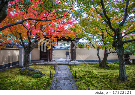 京都大徳寺 黄梅院の紅葉の庭の写真素材