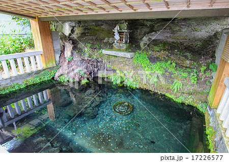 鏡ヶ池 鏡ヶ池 17226577