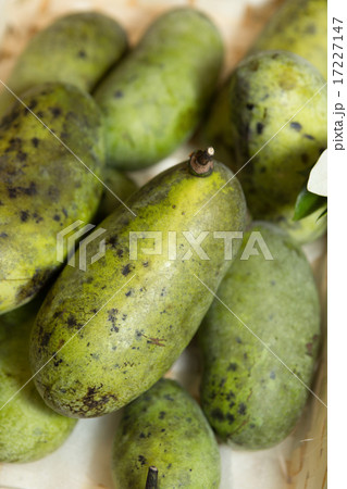 果物 ポポー 果物 ポポー 17227147