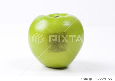 Foods Business_011 Foods Business_011 17229155