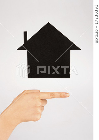 House Concept_011 17230391