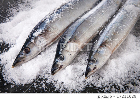 Seafood_009 17231029