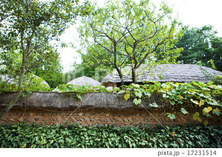 [PHO186] Tradition II_048 17231514