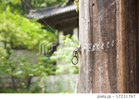 [PHO186] Tradition II_160 17231767