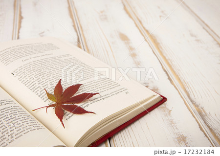 [PHO187] Books & Music_037 17232184