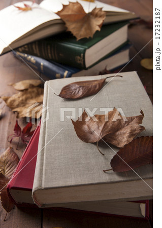 [PHO187] Books & Music_040 17232187