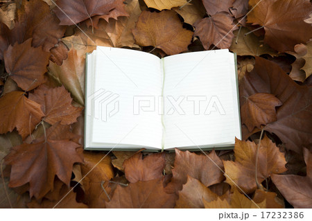 [PHO187] Books & Music_089 17232386