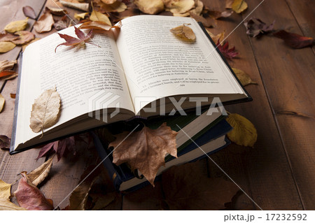[PHO187] Books & Music_115 17232592