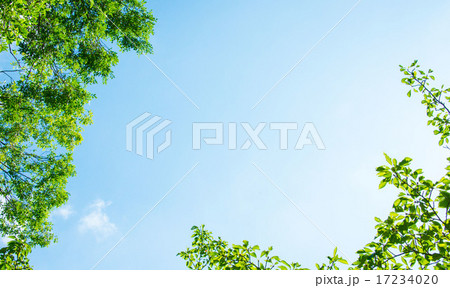 青空を見上げた。希望に満ちる! 青空を見上げた。希望に満ちる! 17234020