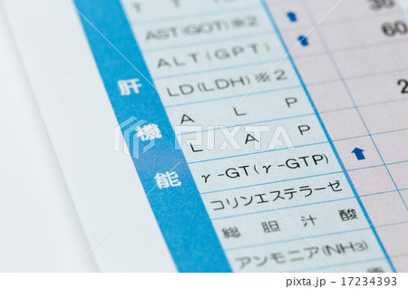 血液検査 血液検査 17234393