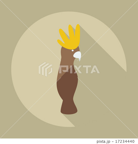 Flat modern design with shadow icons parrot Flat modern design with shadow icons parrot 17234440