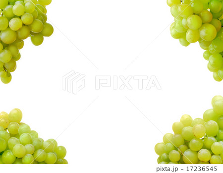 white grape 17236545