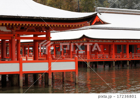 雪の厳島神社 17236801