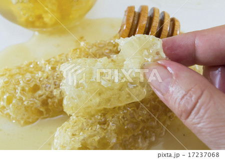 Womans hand holding honeycomb 17237068