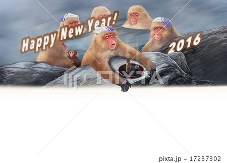 年賀状2016温泉に入るニホンザル-横全体酒英字 年賀状2016温泉に入るニホンザル-横全体酒英字 17237302