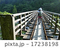 屋久島　橋 17238198