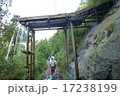 屋久島　トロッコ道にて 17238199