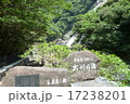 屋久島　大川の滝 17238201