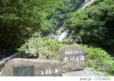 屋久島　大川の滝 17238201