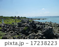 桜島　溶岩なぎさ公園 17238223