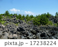 桜島　溶岩なぎさ公園 17238224