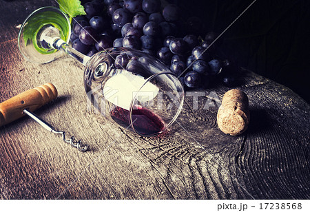 dark wine dark wine 17238568