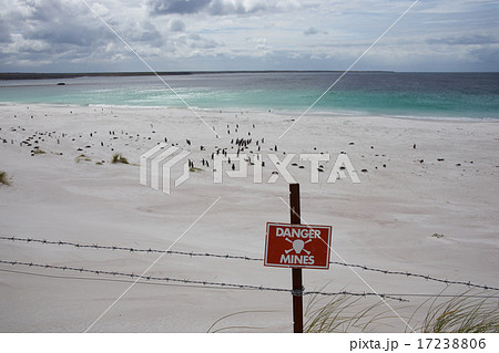 Beach at Yorke Bay 17238806
