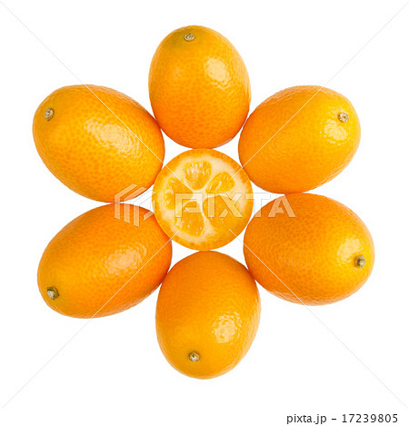 Oval Kumquats Forming A Sun Symbol On White Backgr Oval Kumquats Forming A Sun Symbol On White Backgr 17239805