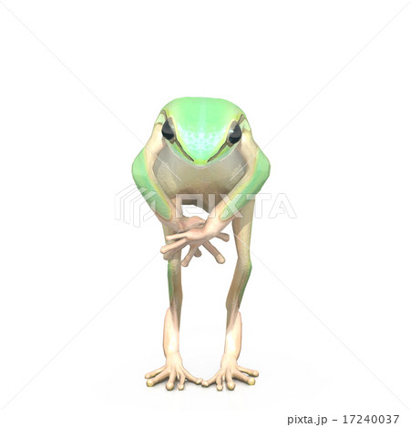 アマガエル03 おじぎポーズのイラスト素材