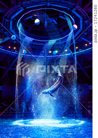 エプソン アクアパーク品川　ドルフィンパフォーマンス 17241260