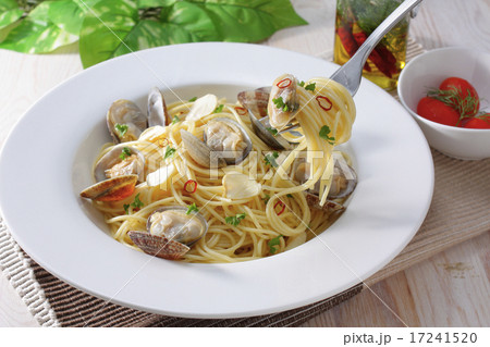 ボンゴレ 17241520