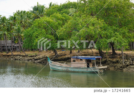 Serenity river in Vietnam Serenity river in Vietnam 17241665