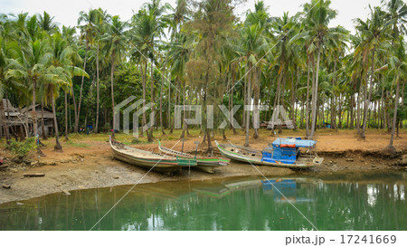 Serenity river in Vietnam Serenity river in Vietnam 17241669