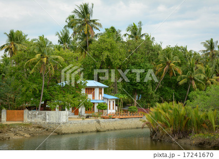 Serenity river in Vietnam Serenity river in Vietnam 17241670