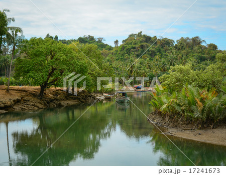 Serenity river in Vietnam Serenity river in Vietnam 17241673