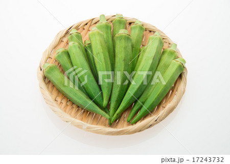 オクラ オクラ 17243732