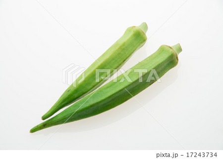 オクラ 17243734