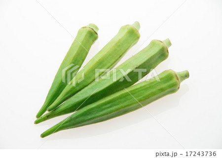 オクラ 17243736