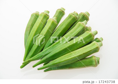 オクラ 17243738