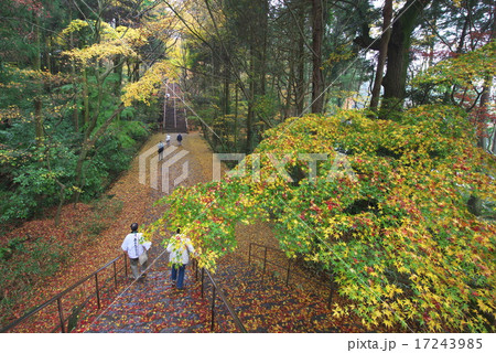 根香寺の紅葉 根香寺の紅葉 17243985