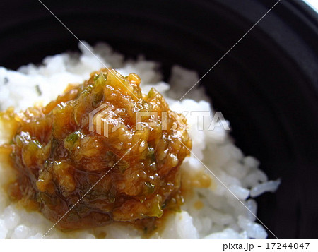 ご飯においしいピリ辛の南蛮味噌 17244047