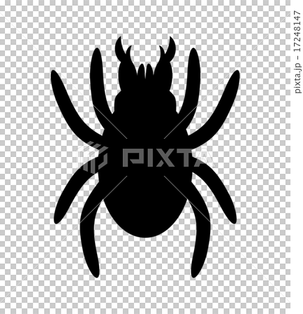 ダニのシルエット 17248147