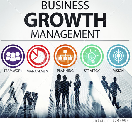Business Strategy Management Mission Success Concept 17248998