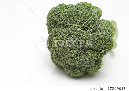 ブロッコリー ブロッコリー 17249013