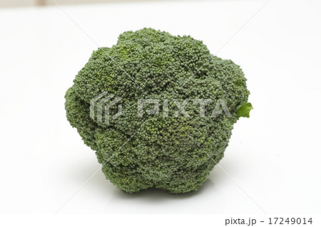 ブロッコリー 17249014