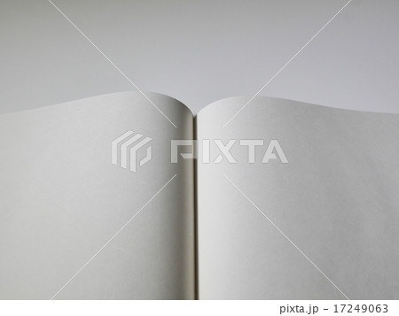 スケッチブック 17249063