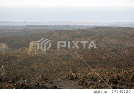 KA'U Scenic Point、Big Island,Hawaii KA'U Scenic Point、Big Island,Hawaii 17249120