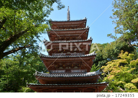 海住山寺 17249355