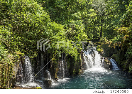菊池渓谷の天狗滝と新緑の森 17249596