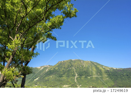 飯田高原の新緑と泉水山 17249619